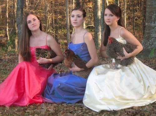 20 foto bikin gagal paham © 2016 brilio.net 20 foto bikin gagal paham © 2016 brilio.net