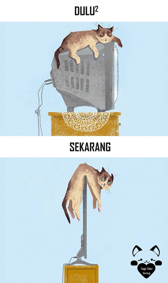 tingkah lucu kucing © 2016 brilio.net