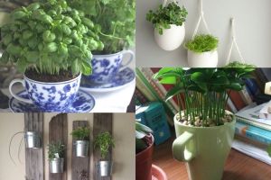 17 Desain kebun dalam rumah ini simpel dan sejuk, bikin yuk!