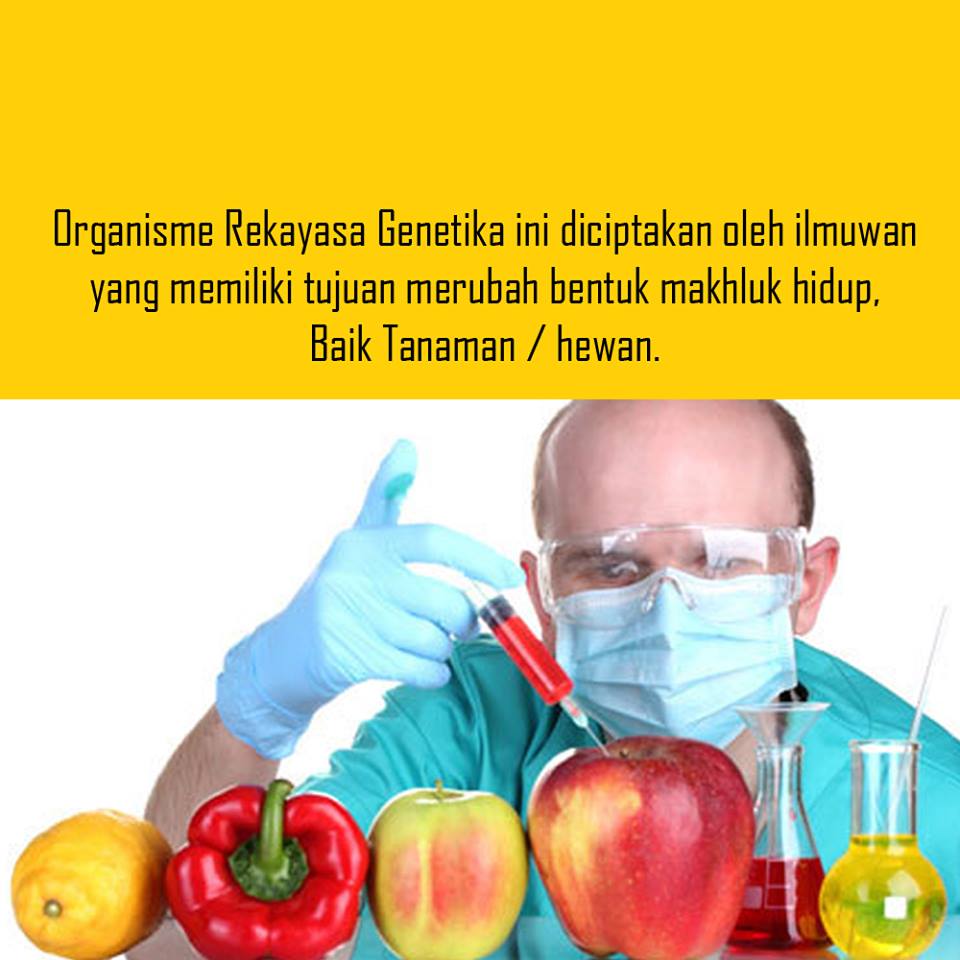 ada apa dengan tahu 1-27 © 2016 brilio.net ada apa dengan tahu 1-27 © 2016 brilio.net