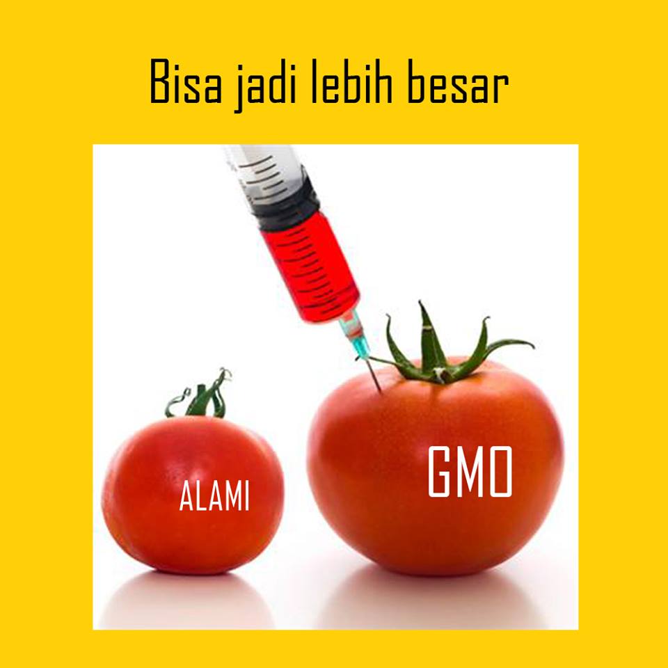 ada apa dengan tahu 1-27 © 2016 brilio.net ada apa dengan tahu 1-27 © 2016 brilio.net