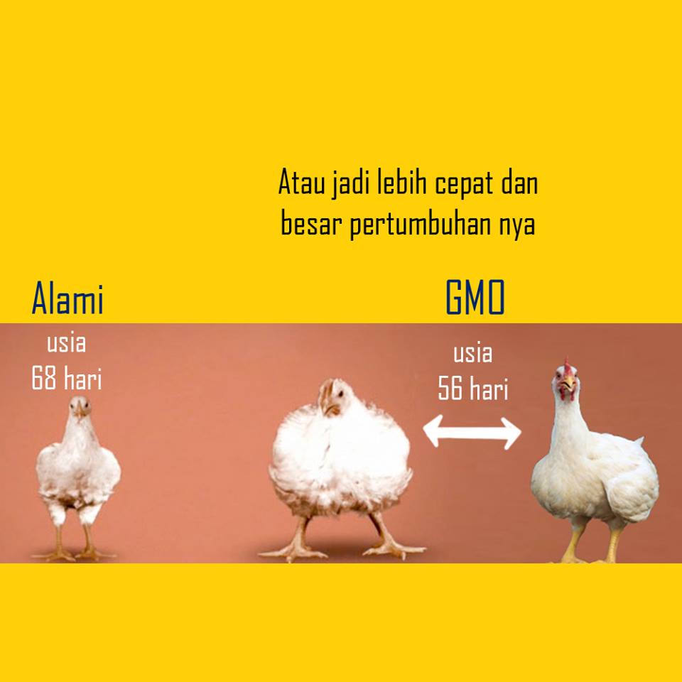 ada apa dengan tahu 1-27 © 2016 brilio.net ada apa dengan tahu 1-27 © 2016 brilio.net