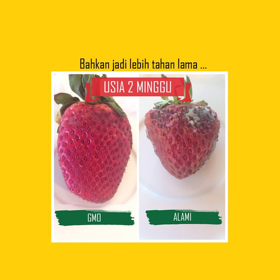 ada apa dengan tahu 1-27 © 2016 brilio.net ada apa dengan tahu 1-27 © 2016 brilio.net