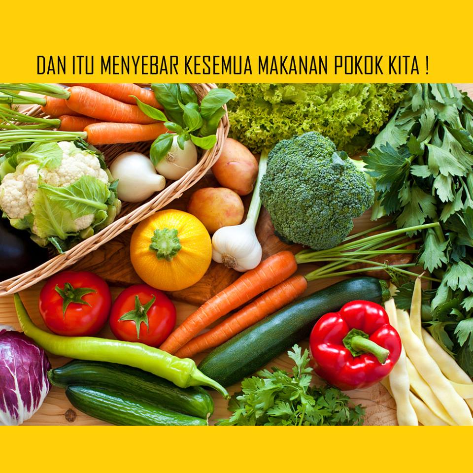 ada apa dengan tahu 1-27 © 2016 brilio.net ada apa dengan tahu 1-27 © 2016 brilio.net