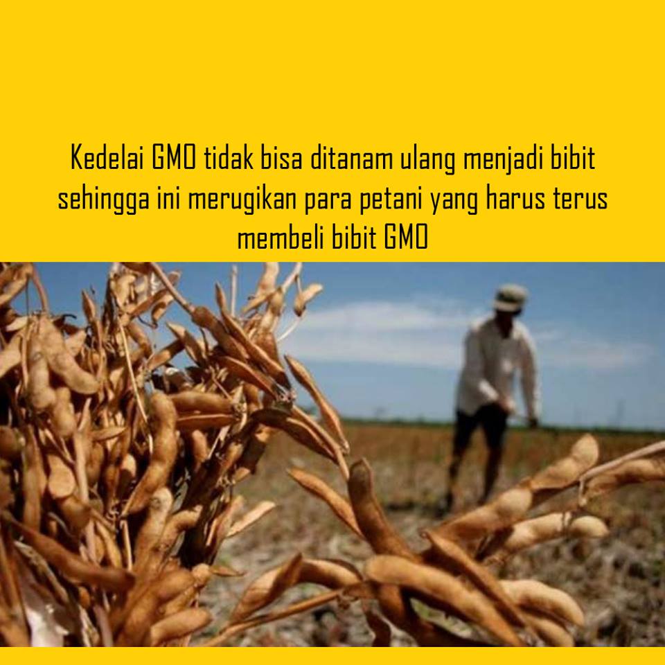 ada apa dengan tahu 1-27 © 2016 brilio.net ada apa dengan tahu 1-27 © 2016 brilio.net