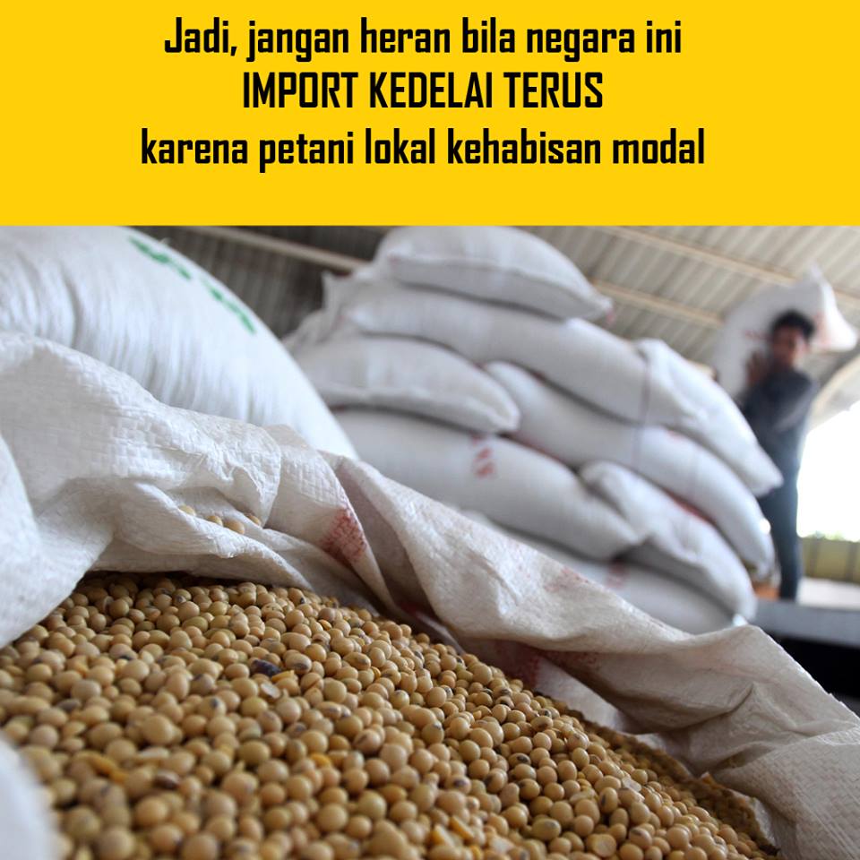 ada apa dengan tahu 1-27 © 2016 brilio.net ada apa dengan tahu 1-27 © 2016 brilio.net