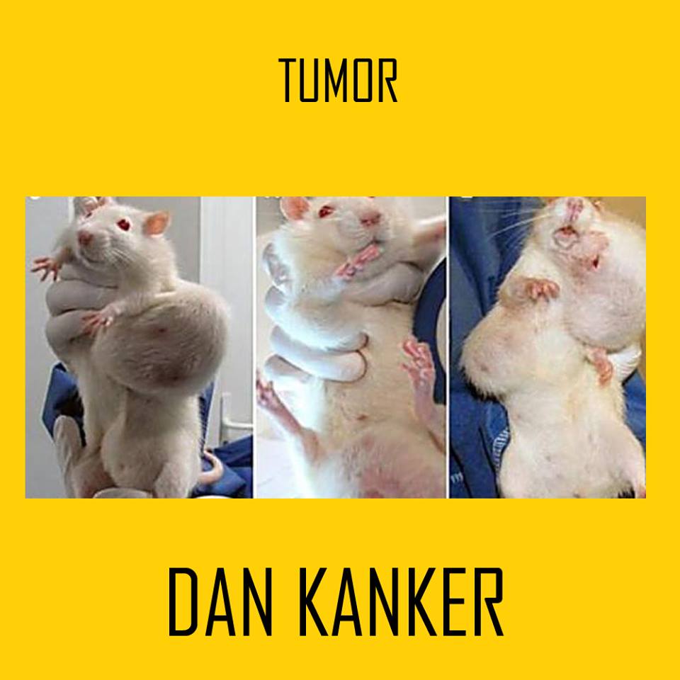 ada apa dengan tahu 1-27 © 2016 brilio.net ada apa dengan tahu 1-27 © 2016 brilio.net