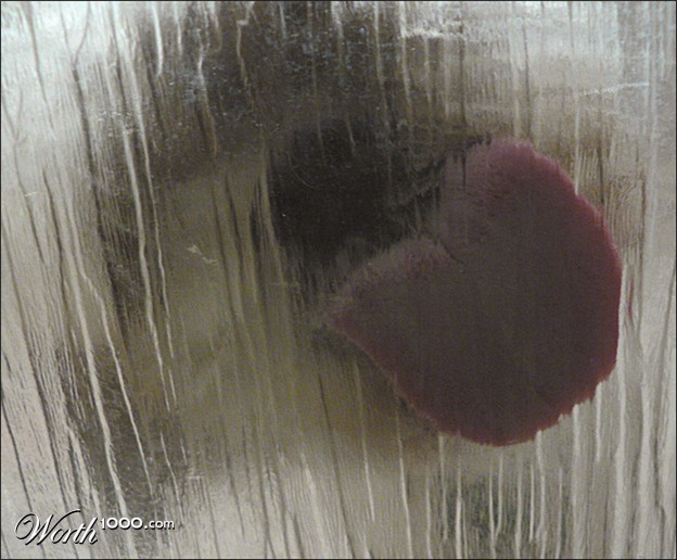 Kucing Jilat © 2016 brilio.net