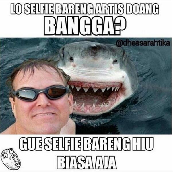 meme selfie 1-15 © 2016 brilio.net meme selfie 1-15 © 2016 brilio.net