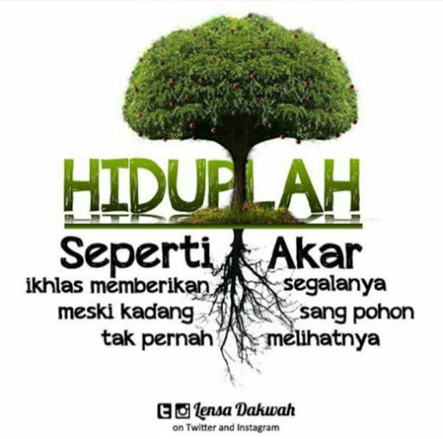 101 Quote tentang hidup yang akan membuatmu makin bijak