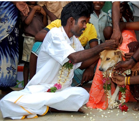 10 Pernikahan manusia dengan hewan, jomblo jangan sampai gini ya...