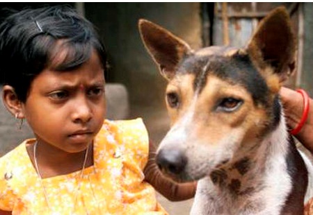 aneh menikah hewan © 2016 brilio.net