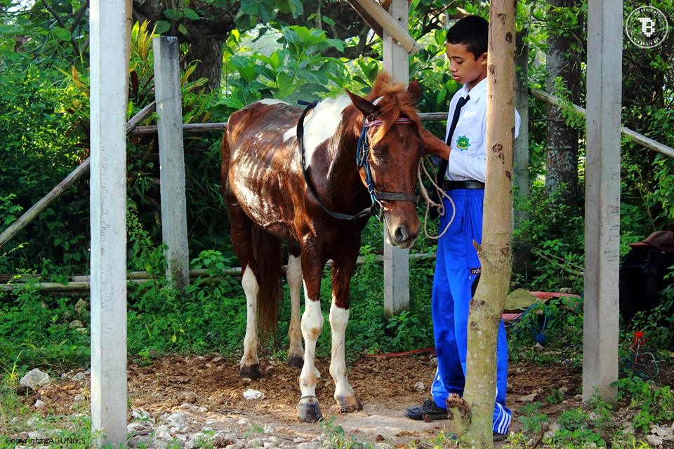 siswa naik kuda © 2016 brilio.net