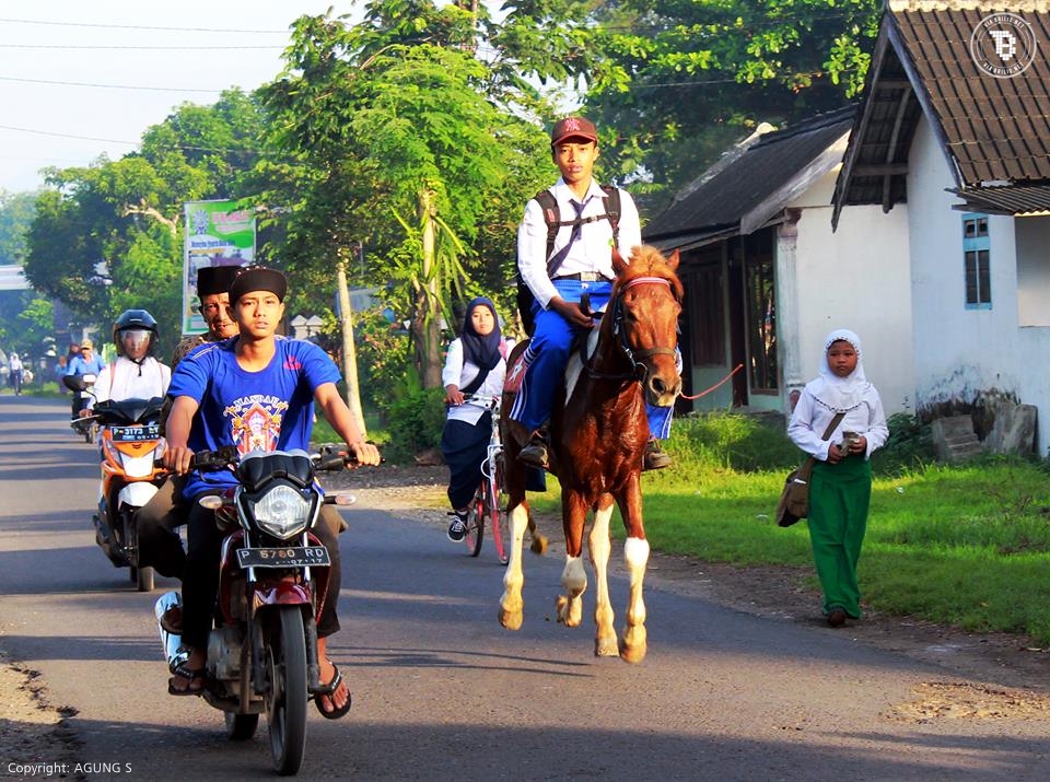 siswa naik kuda © 2016 brilio.net