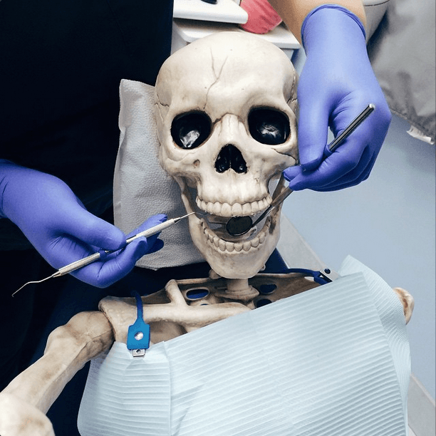 skellie action  © 2016 brilio.net