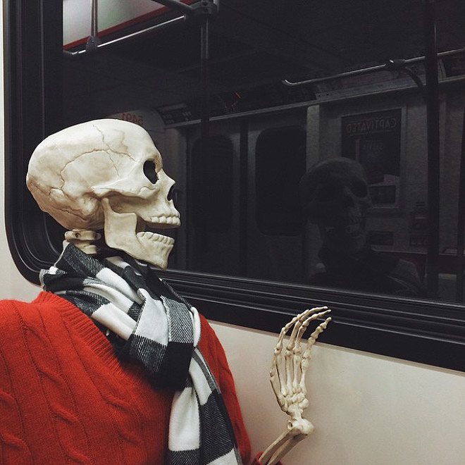 skellie action  © 2016 brilio.net