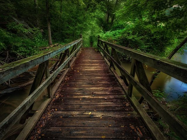 lukisan atau foto  © 2016 brilio.net