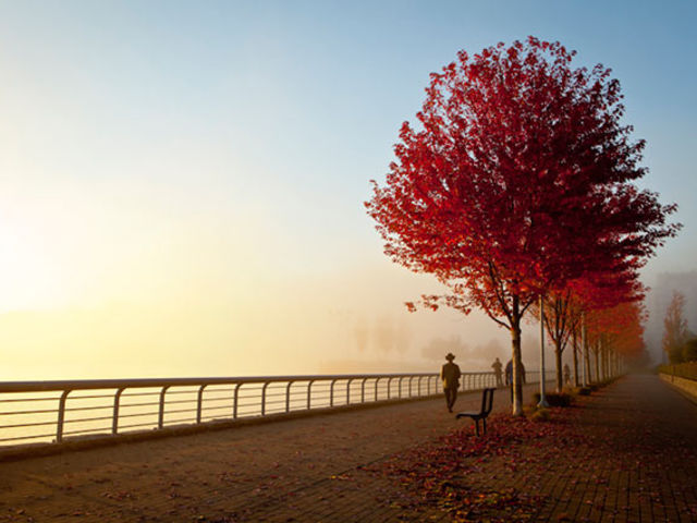 lukisan atau foto  © 2016 brilio.net