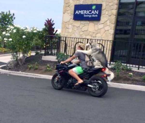 20 Aksi pengguna jalan © 2016 brilio.net