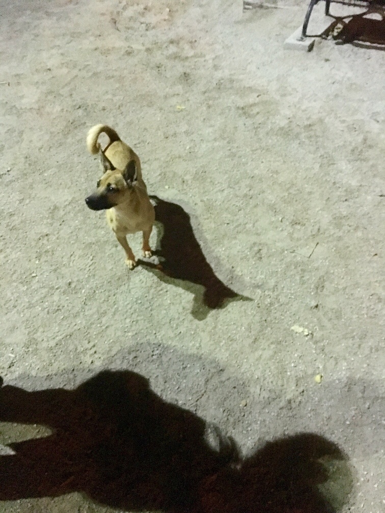 20 Foto bayangan © 2016 brilio.net