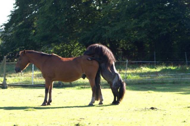 24 Foto aksi mental baja © 2016 brilio.net 24 Foto aksi mental baja © 2016 brilio.net