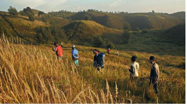 explore wonosobo 1-13 © 2016 brilio.net