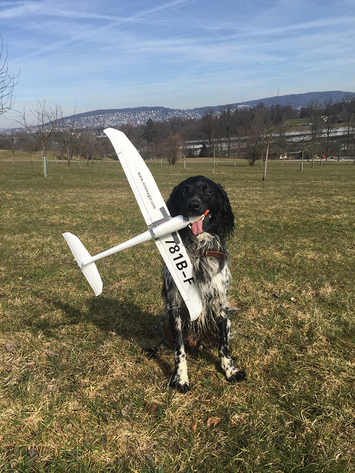 Gustl © 2016 brilio.net Gustl © 2016 brilio.net