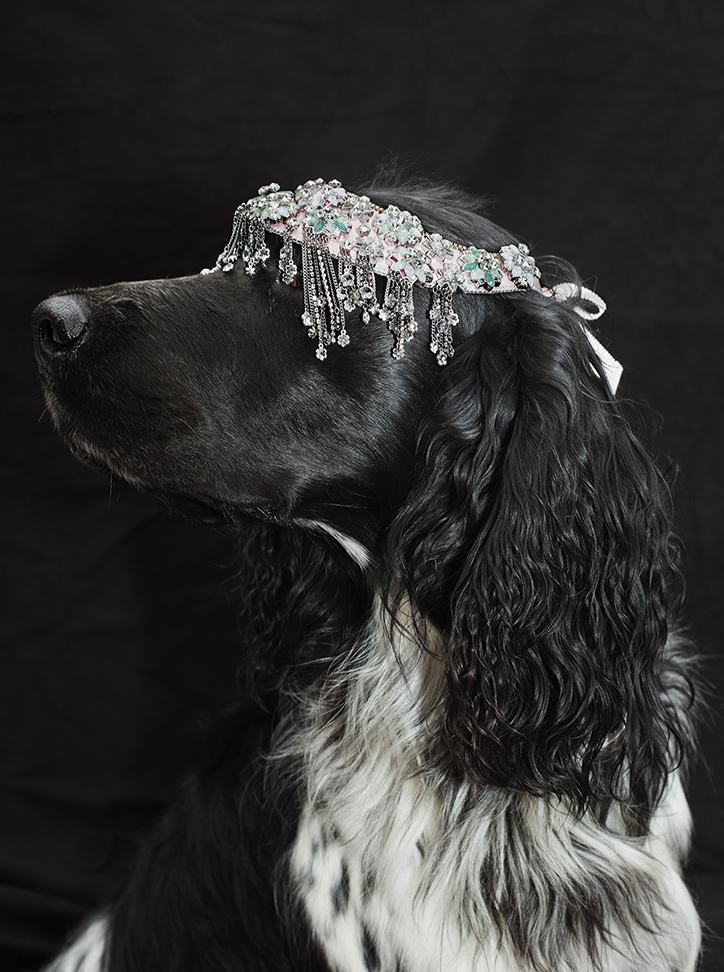 Gustl © 2016 brilio.net Gustl © 2016 brilio.net