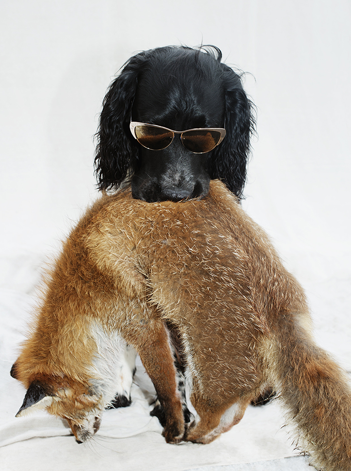 Gustl © 2016 brilio.net Gustl © 2016 brilio.net