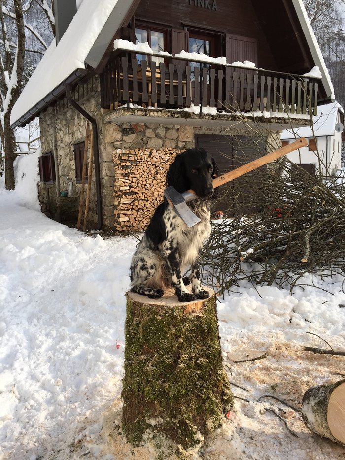 Gustl © 2016 brilio.net Gustl © 2016 brilio.net