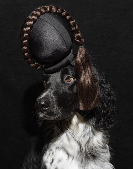 Gustl © 2016 brilio.net Gustl © 2016 brilio.net