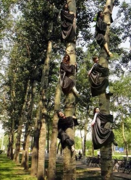 kegilaan china © 2016 brilio.net kegilaan china © 2016 brilio.net