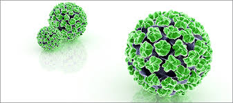 (Kesehatan) Awas! 13 penyakit ini bisa menyerang jika kamu tidak menjaga kebersihan gigi. © 2016 brilio.net