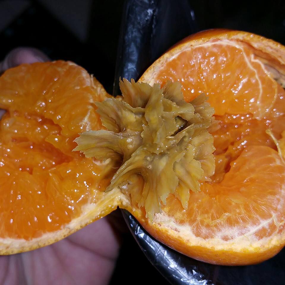 foto ganjil © 2016 brilio.net