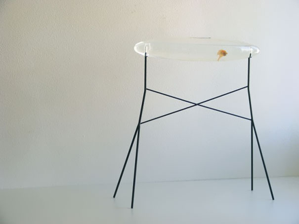 akuarium untuk rumah  © 2016 brilio.net