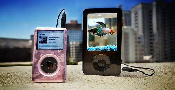 akuarium untuk rumah  © 2016 brilio.net