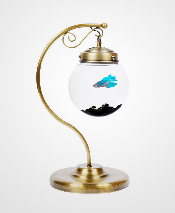 akuarium untuk rumah  © 2016 brilio.net