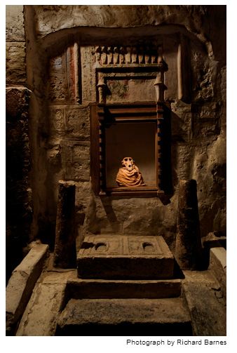 mumi hewan  Richard Barnes