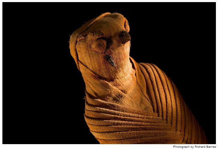 mumi hewan  Richard Barnes