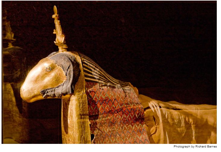 mumi hewan  Richard Barnes