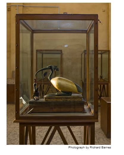 mumi hewan  Richard Barnes