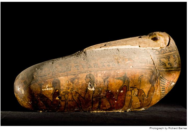 mumi hewan  Richard Barnes