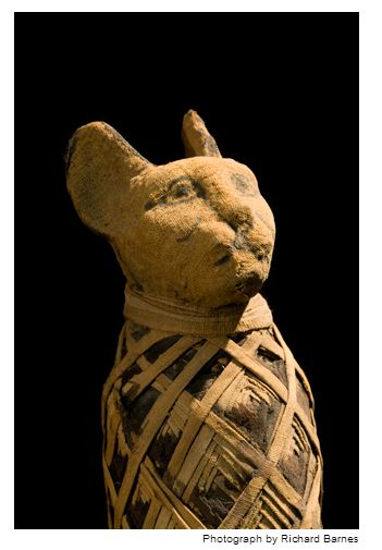 mumi hewan  Richard Barnes