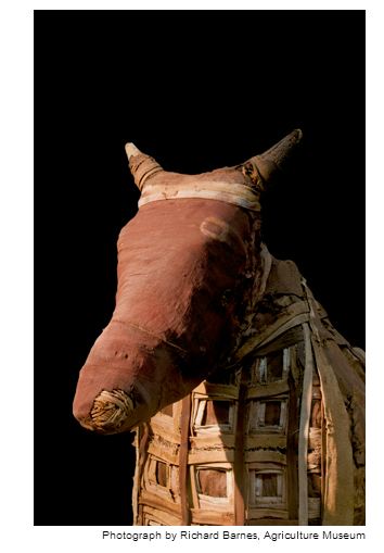 mumi hewan  Richard Barnes