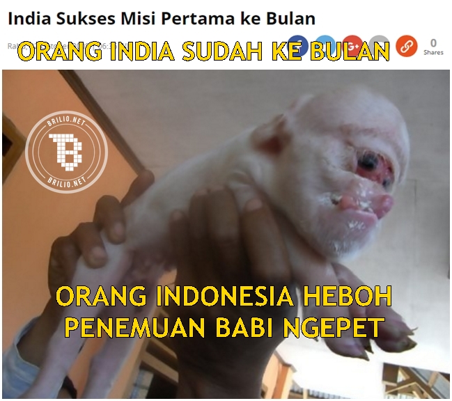 meme india  © 2016 brilio.net