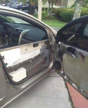 apes deh © 2016 brilio.net apes deh © 2016 brilio.net