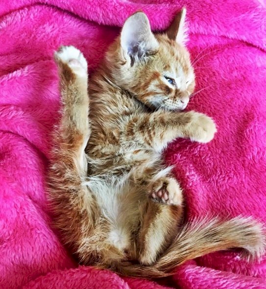 Bubba © 2016 brilio.net Bubba © 2016 brilio.net