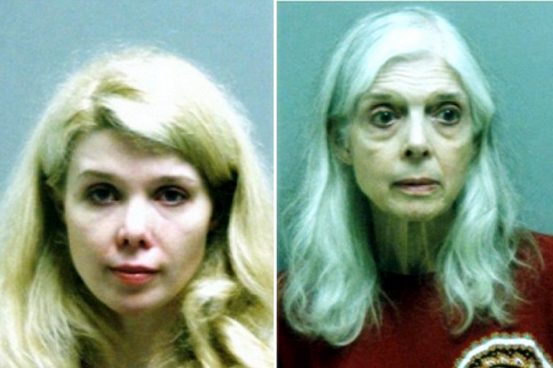 wanita kucing © 2016 brilio.net