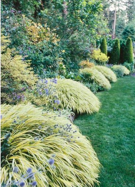 10 Kreasi rumput jepang ini bisa bikin kebunmu makin indah, coba deh!