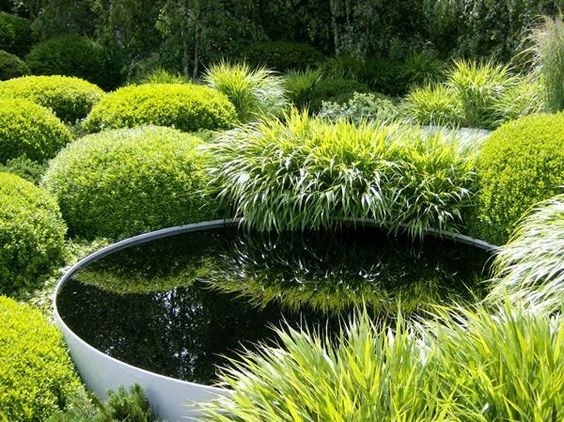 Rumput Jepang © 2016 brilio.net